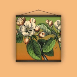 Floral, Botanical, Apple Blossoms, Garden, Wall Hanging, Banner, Antique, Vintage, Natural History, Pull Down Chart - thumbnail 1