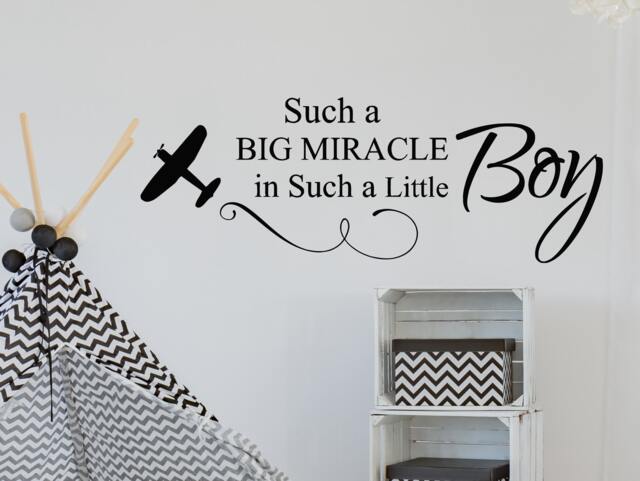 Wall Decals Quote Such A Big Miracle Plane Decal Vinyl Sticker Boy Nursery Baby Room Home Decor Art Murals Ms702 - image 1
