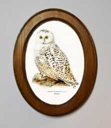 Light Oak Oval Wooden Framed Art Print, Snowy Owl, Von Wright Brothers, A Bird Illustration - thumbnail 1