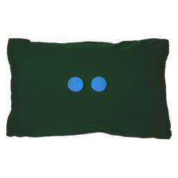 Peacock Cushion - Handmade Digitally Printed Silk Cushion 2 Sizes Available - thumbnail 3