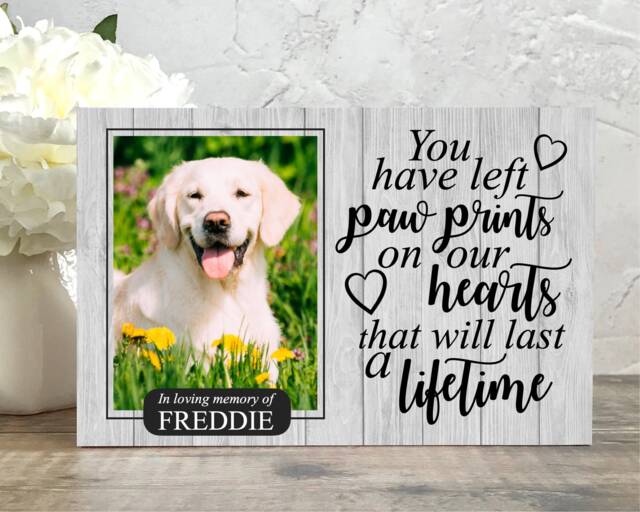 Memorial For Pet, Dog Memorial, Pet Frame, Plaque, Photo Picture Hamster - image 1