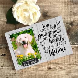 Memorial For Pet, Dog Memorial, Pet Frame, Plaque, Photo Picture Hamster - thumbnail 2