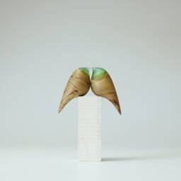 Duo Love Birds - 136 - thumbnail 1