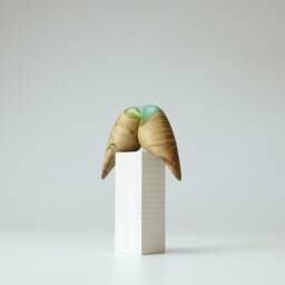 Duo Love Birds - 136 - thumbnail 2