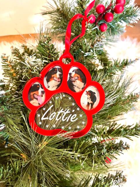 Paw Shape Christmas Tree Ornament With Photos & Best Friend Name Text, Any Photo Ornament, Custom Bauble, Dog Gift - image 1