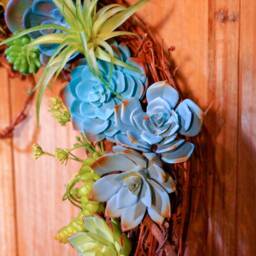 Lg. Faux Air Plant & Succulent Wreath with Fairy Lights - thumbnail 3