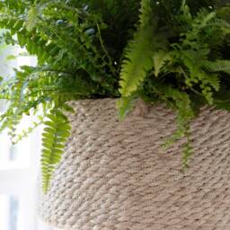 Hanging Plant Pots - Jute Indoor Plants Rope Hanging Bathroom Bedroom Kitchen Ceiling Herb Natural Planters - thumbnail 2
