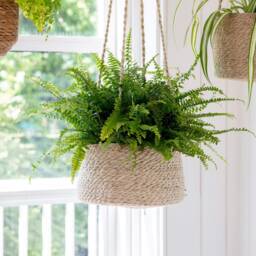 Hanging Plant Pots - Jute Indoor Plants Rope Hanging Bathroom Bedroom Kitchen Ceiling Herb Natural Planters - thumbnail 3