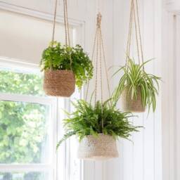 Hanging Plant Pots - Jute Indoor Plants Rope Hanging Bathroom Bedroom Kitchen Ceiling Herb Natural Planters - thumbnail 4