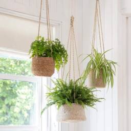 Hanging Plant Pots - Jute Indoor Plants Rope Hanging Bathroom Bedroom Kitchen Ceiling Herb Natural Planters