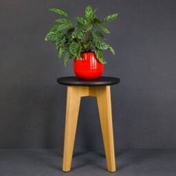 Oak Stool - thumbnail 3