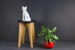 Oak Stool