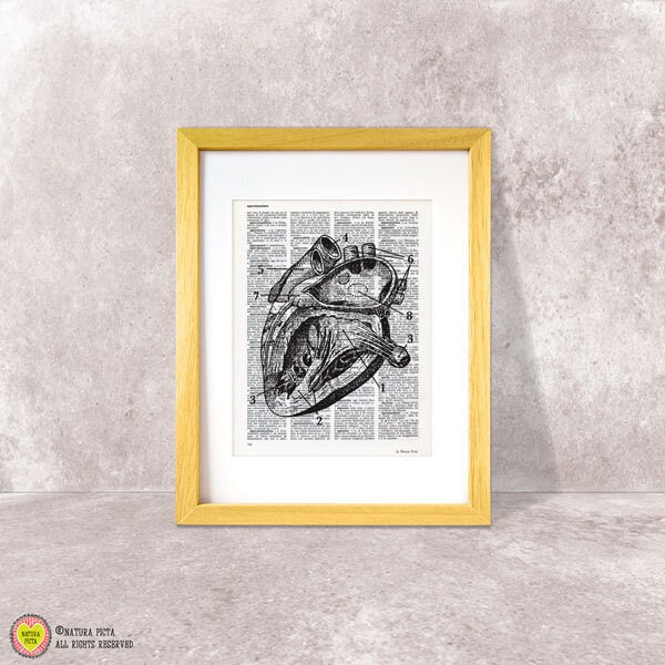 Human Heart Anatomy Print Antique Book Art, Doctor Gift - image 1