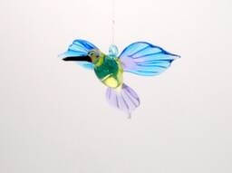 36-250 Hummingbird Tina