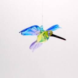 36-250 Hummingbird Tina - thumbnail 2