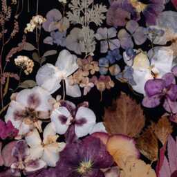 Pressed Flower Art Print Botanical Gallery Wall Decor - 28x40 Inch - thumbnail 2