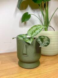Happy Fuzzy Skin Head Planter - Cute Succulent Plant Pot Home Decor - Sustainable Eco-Friendly Materials