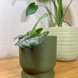 Happy Fuzzy Skin Head Planter - Cute Succulent Plant Pot Home Decor - Sustainable Eco-Friendly Materials - thumbnail 3