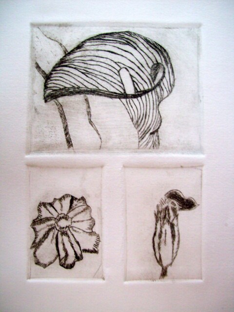 Wall Hanging, Etching Of Cala Lily & Other Flowers Print