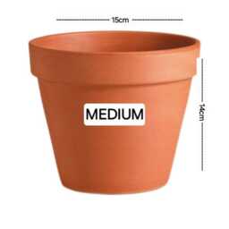 Indoor Plant Pot. Various Gisela Graham Inspired Terracotta Pot & Saucers. Three Sizes Available - thumbnail 4