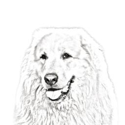 Great Pyrenees - Wooden Stand For Candles/Pens With The Image Of A Dog New Collection - thumbnail 2