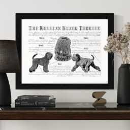 Russian Black Terrier Poster - Gift -Russian Portrait Body Conformation - thumbnail 1