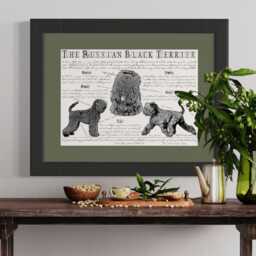 Russian Black Terrier Poster - Gift -Russian Portrait Body Conformation - thumbnail 3