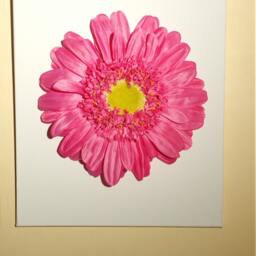 Wall Art D??cor Variety Daisy Flowers Plain, Chevron Background D??cors - thumbnail 4