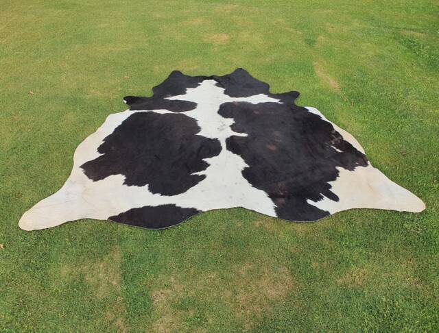 Black & White Cowhide Area Rug, Brazilian Cowskin Large Rug For Living Room, Real Hair On Cowhide, Luxury Western - image 1