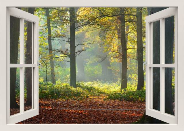 Forest Wall Decal, Autumn 3D Window Trees View Sticker, Frame, Mural