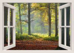 Forest Wall Decal, Autumn 3D Window Trees View Sticker, Frame, Mural