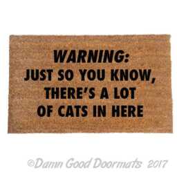 Funny Cat Warning Doormat Crazy Lady Gift