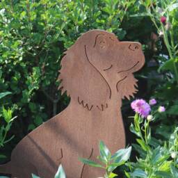 Rusty Metal Working Cocker Spaniel Life Size Dog Gift, Outdoor & Garden Decoration - thumbnail 2
