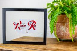 Washington State Handcut From Rainier Beer - Custom Beer Can Cut & Hung in Float Frame - Unique Gift Perfect For Your Bar Or Mancave - thumbnail 1