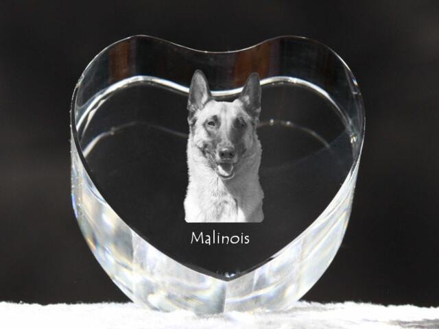 Belgian Shepherd, Malinois , Crystal Heart With Dog, Souvenir, Decoration, Limited Edition, Collection - image 1