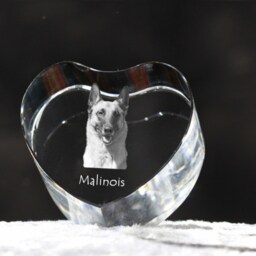 Belgian Shepherd, Malinois , Crystal Heart With Dog, Souvenir, Decoration, Limited Edition, Collection - thumbnail 2