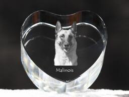 Belgian Shepherd, Malinois , Crystal Heart With Dog, Souvenir, Decoration, Limited Edition, Collection - thumbnail 1