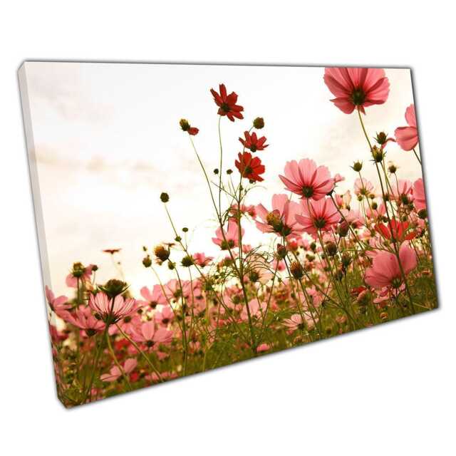 Pink Cosmos Sunset Canvas Wall Art Print For Home Office D??cor - image 1