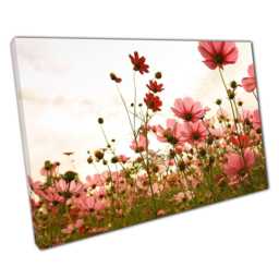 Pink Cosmos Sunset Canvas Wall Art Print For Home Office D??cor - thumbnail 1