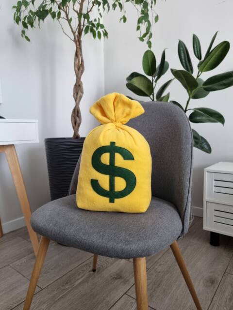 Money Bag Emoji Pillow - Cushion With Dolar Sign Bag Money Birthday Present Gift For Friends - Softdecor - image 1