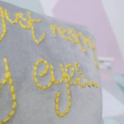 I'm Just Resting My Eyes Embroidered Velvet Cushion - thumbnail 3
