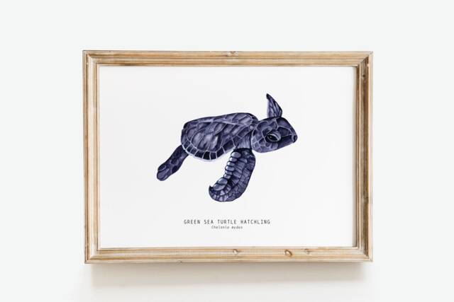 Green Sea Turtle Hatchling Art Print - Chelonia Mydas Watercolor Wall Nursery D??cor Living, Bathroom Kid's Room Poster Gifts - image 1
