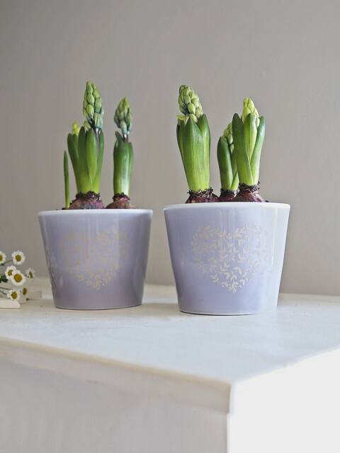 Lilac Floral Heart Pot