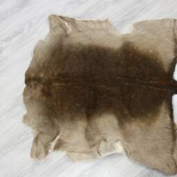 Deer Hide - Rug Skin Throw L Large - Scandinavian Style Home Decor #sar5 - thumbnail 2