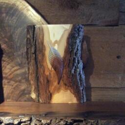 Hand Carved American Wigeon Feather Mounted On Rustic Base - thumbnail 2