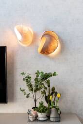 Handcrafted Shell Sconce Coastal Wall Lighting - Us Prepaid Tariffs Sculptural Wood Lamp For Entry Way Or Above Bed Decor
