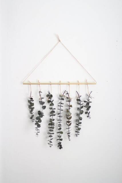 Eucalyptus Wall Hanging Kit - Decor Scandinavian Minimalist Holiday Diy Plant