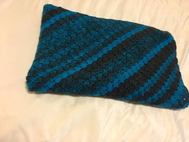Carolina Panthers Throw - image 1
