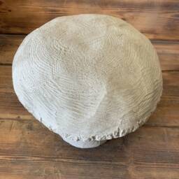 stone Garden Traditional Large Toadstool Mushroom 2 Piece Concrete Ornament - thumbnail 2
