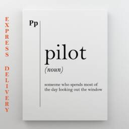 Pilot Canvas Art Definition Print Gift Coworker Military Aviation Wall Professions Home Office Decor Scandinavian - thumbnail 2